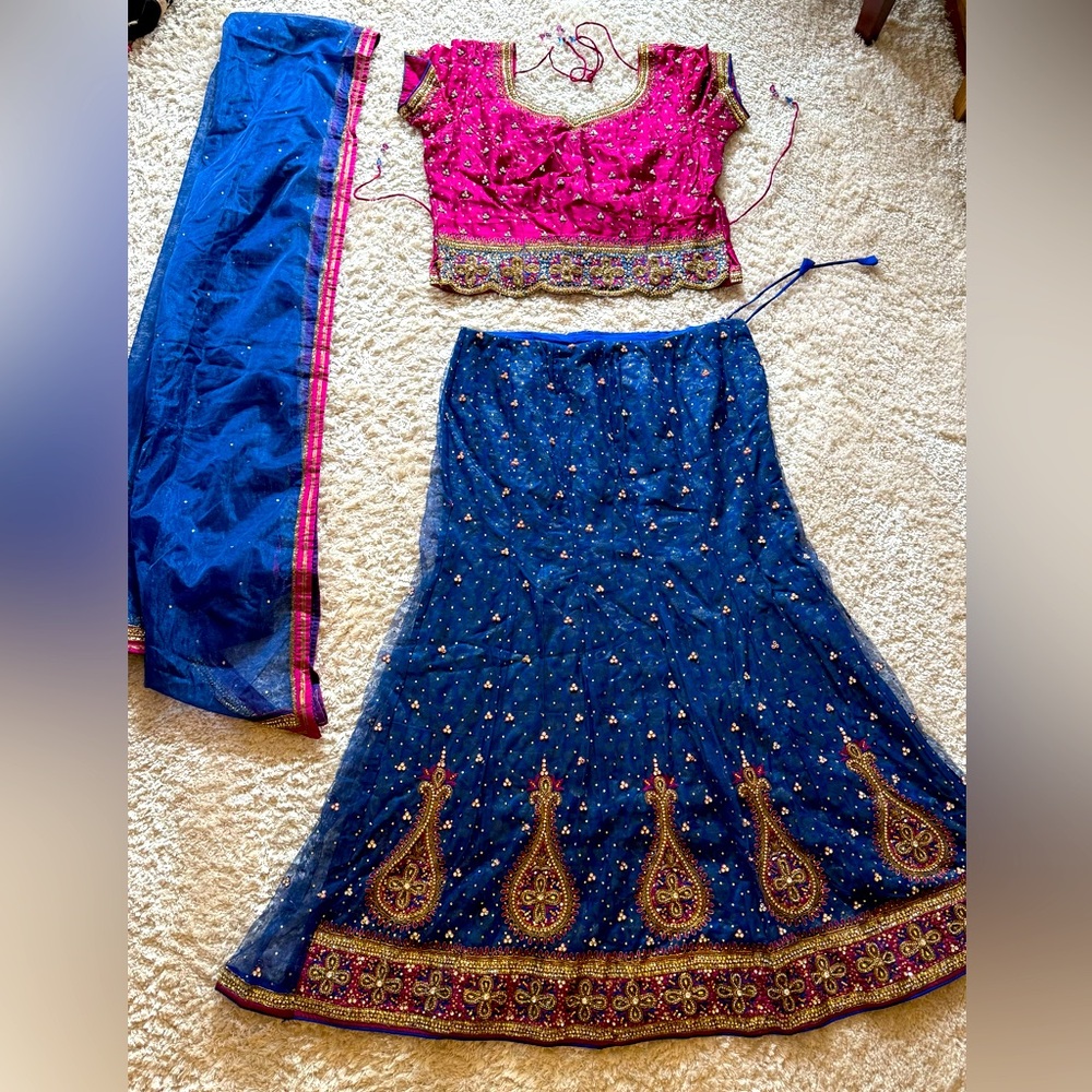 Elegant Blue and Pink Embroidered Lehenga Skirt Set